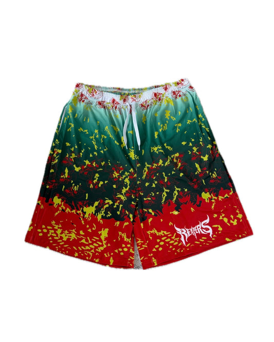 Swim Short (Rasta)